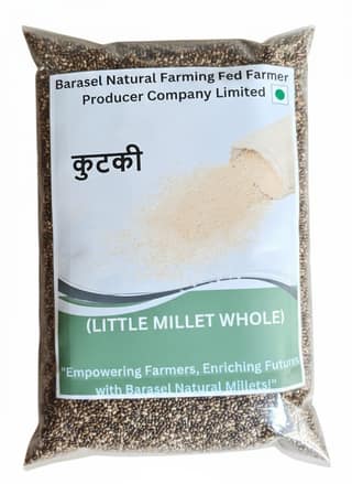 Little Millet