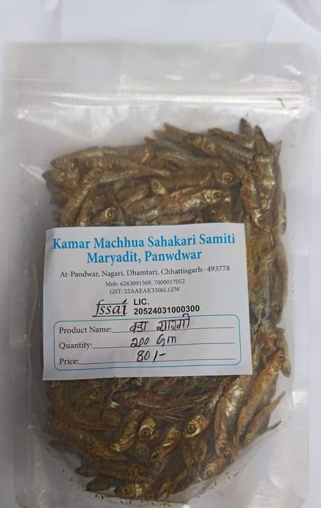 Big Fidder fish(Bada Sarangi)