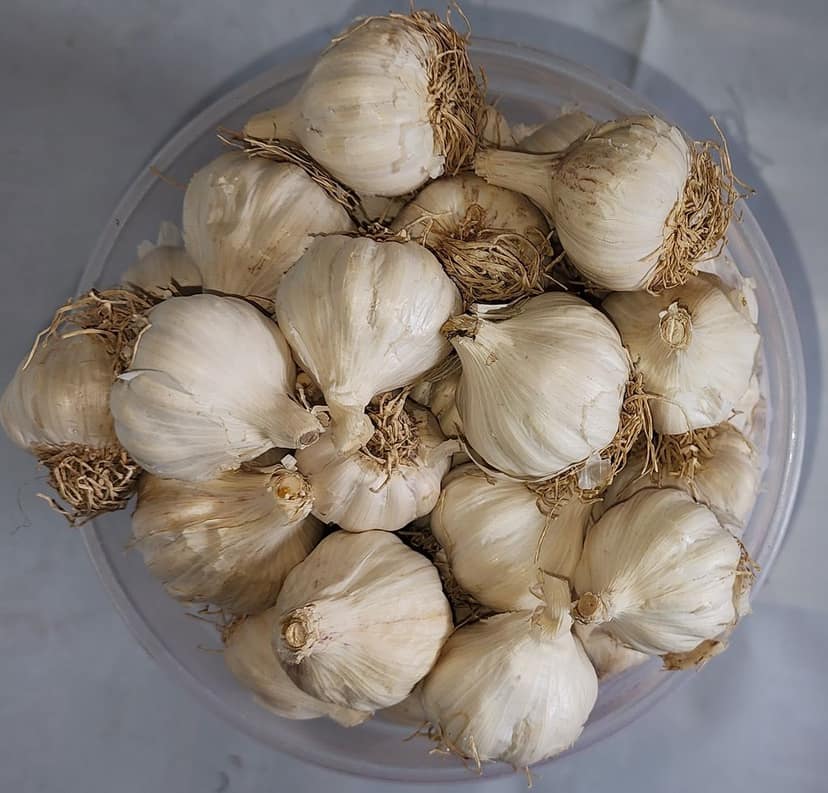 Garlic(5kg) view 2