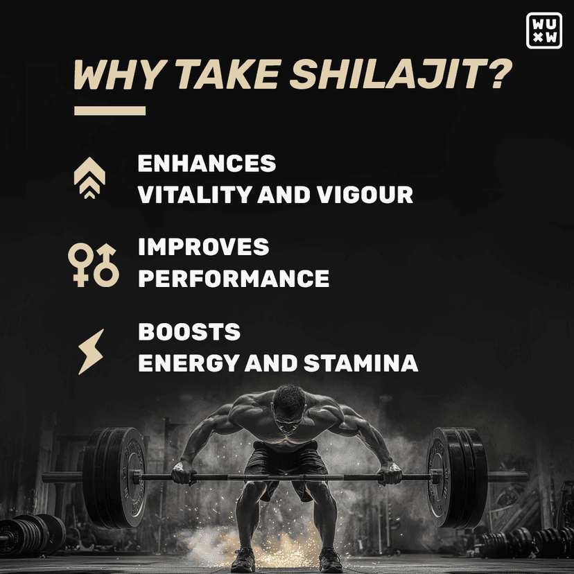 What's Up Shilajit Gummies What's Up Shilajit Gummies - 30 Gummies view 2