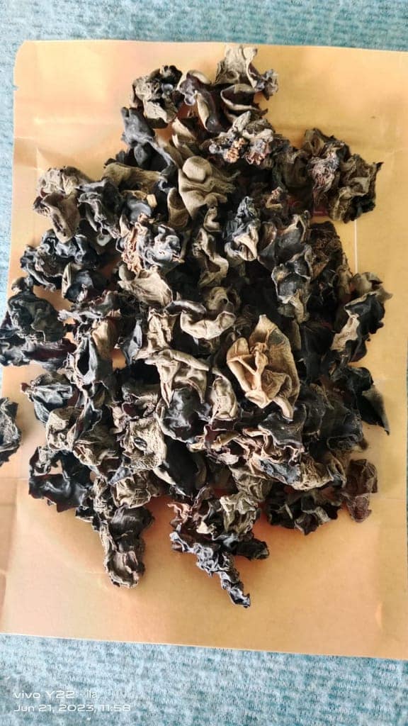 Dry Edible Black Fungus (Cloud Ear and Wood Ear Mushrooms) 100 gm view 2