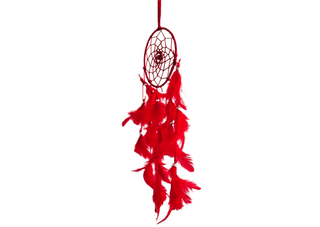Red Colour feathers - Dream Catcher Traditional Indian Dreamcatchers Wall Art For Bedrooms, Home Wall, Hanging Design. Size 4" (5 - Piece Set)