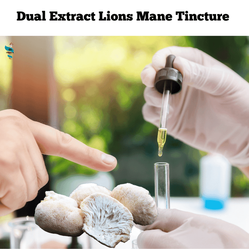 Lions Mane Mushroom Extract Tincture 30ml (60 Servings) view 2