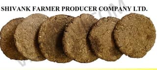 COW DUNG CAKE