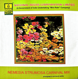 NSC Nemesia Strumosa Carnival mix-3 gms