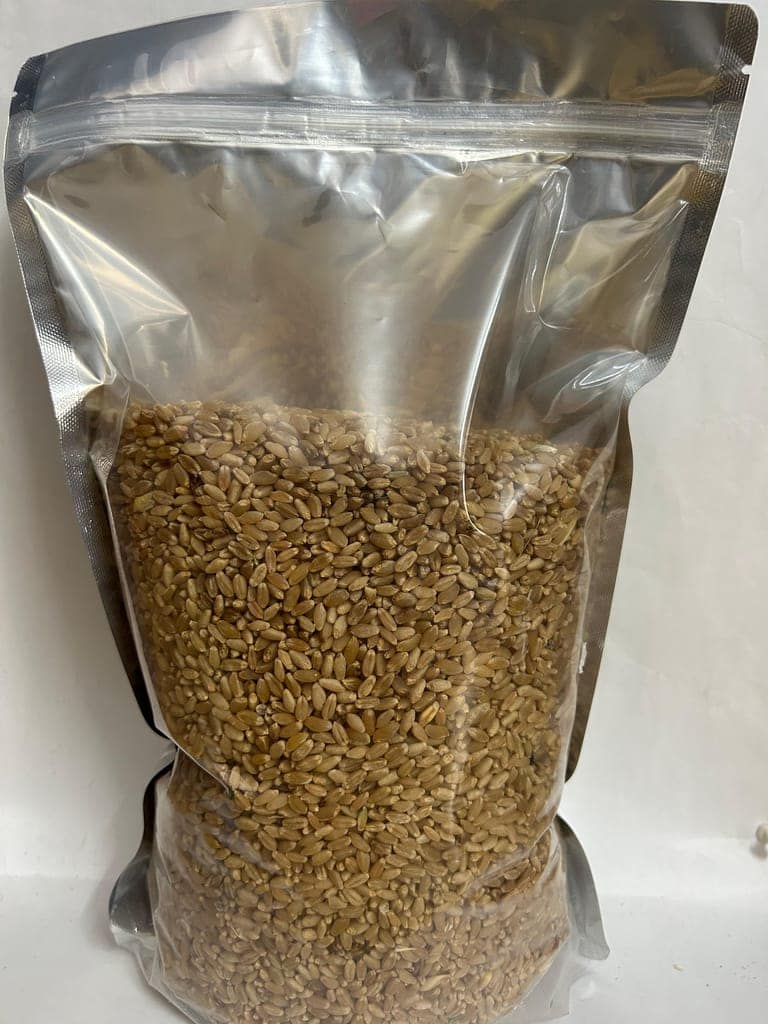 Wheat Grains Cleaned view 2