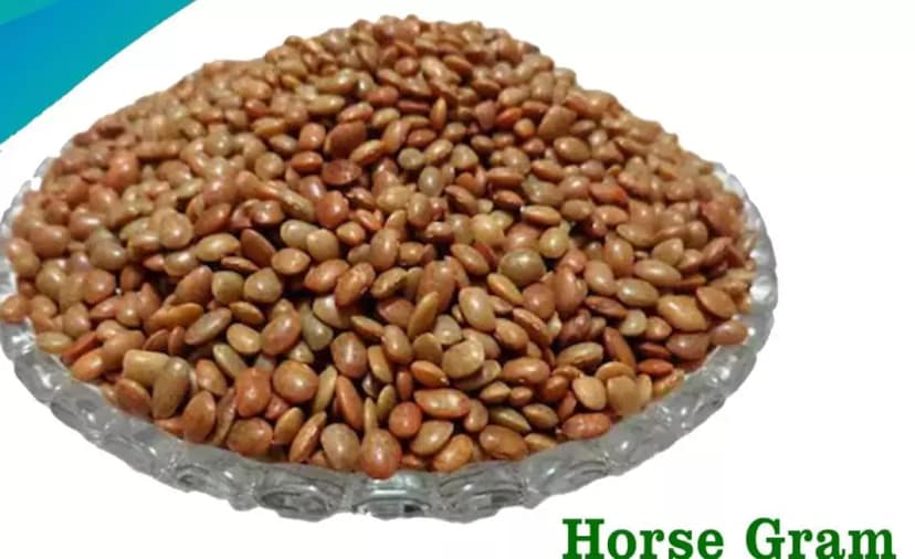 Kodli Kisan Horse Gram 1kg | High-Protein, Unpolished & Naturally Grown Superfood