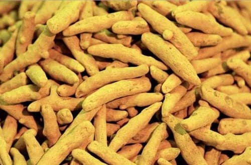 Fingure Turmeric Hand Pick view 2