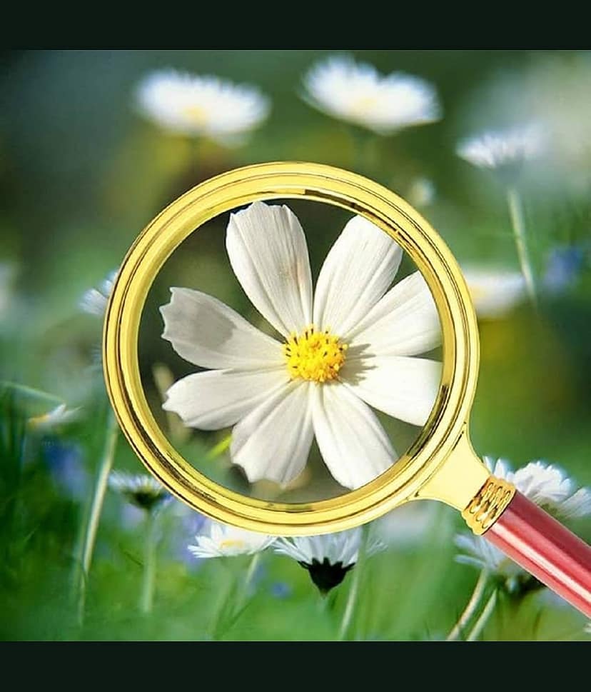 Double Glass 10X High Power Antique Handheld Magnifier Magnifying Glass for Reading, Soldering, jewelries, maps, Great for Gifting (10X, 100MM, Gold + Red) view 2