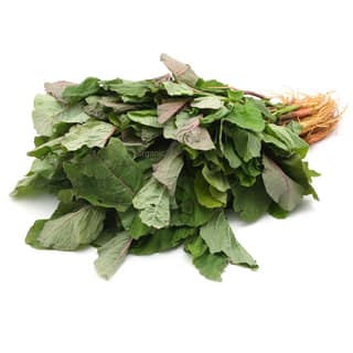 SS AMARANTHUS BUNCH