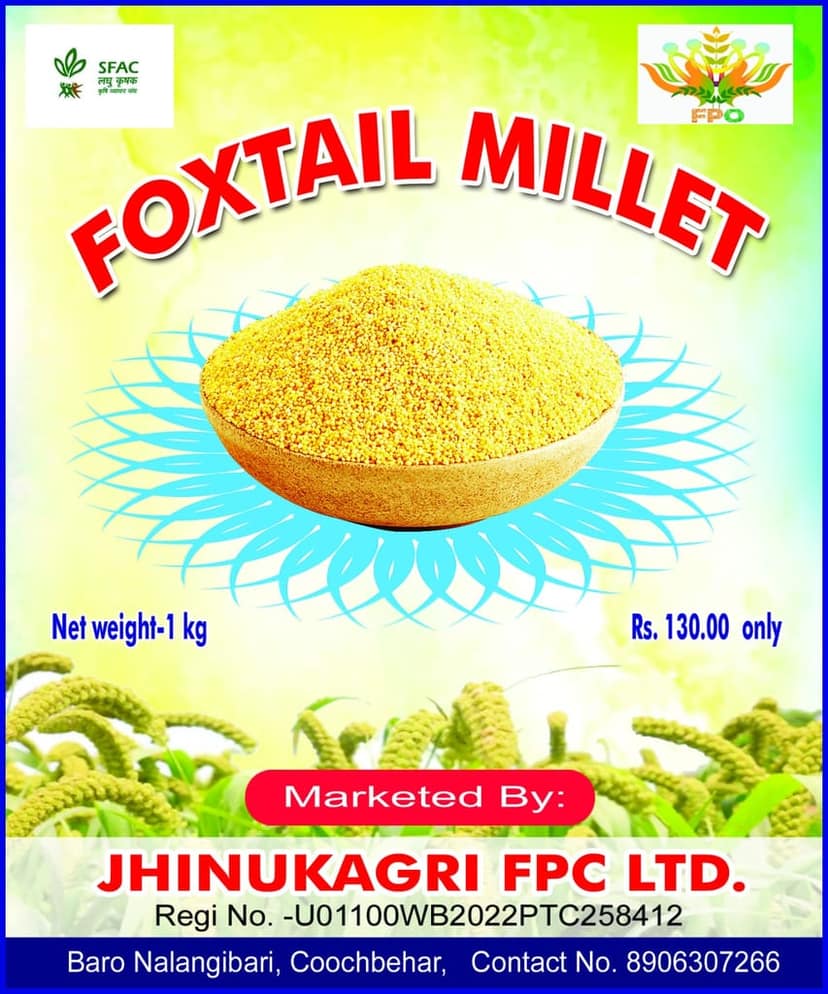 Millet Rice view 2