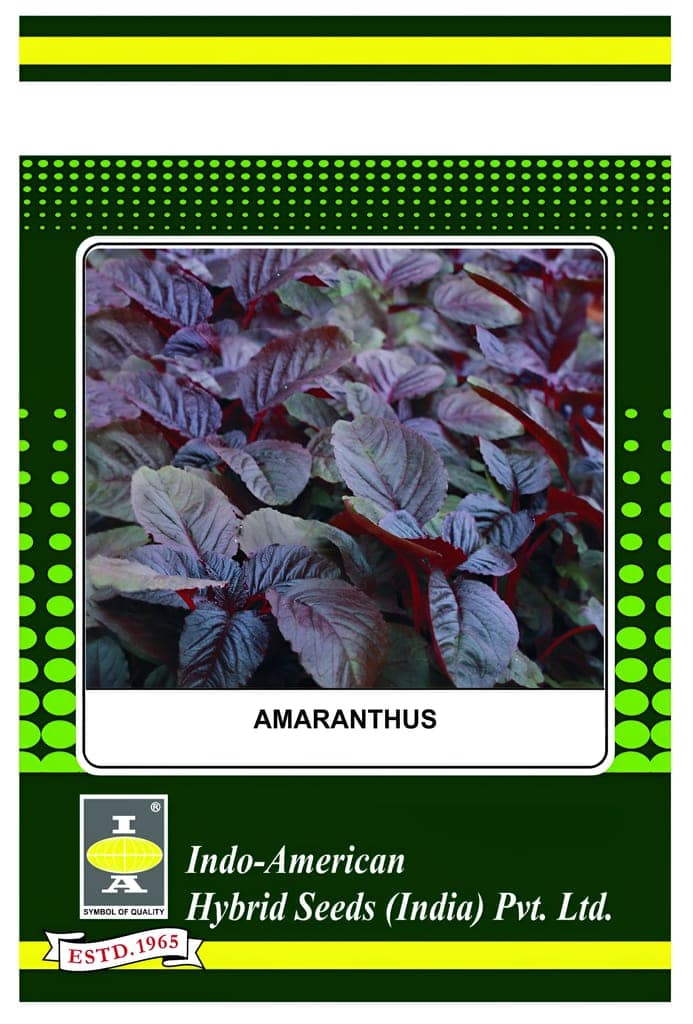 AMARANTHUS INDAM-LAL [OP] SEEDS - 200 SEEDS view 2