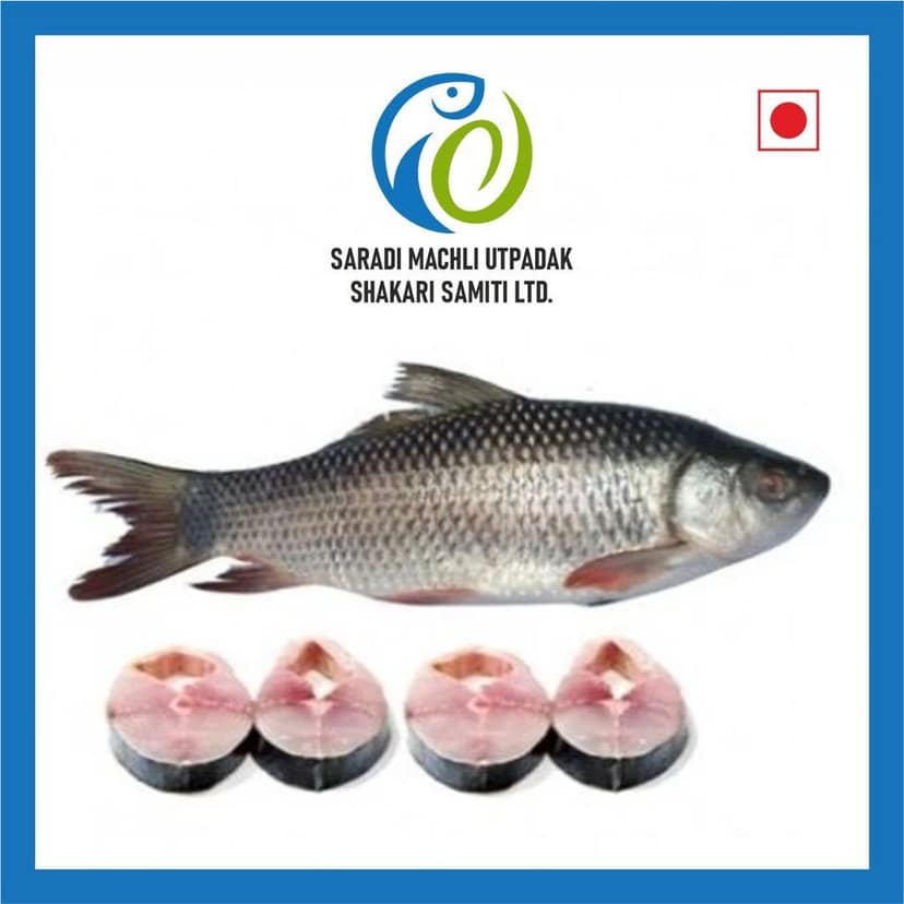 Rohu Fish (1 kg) view 2