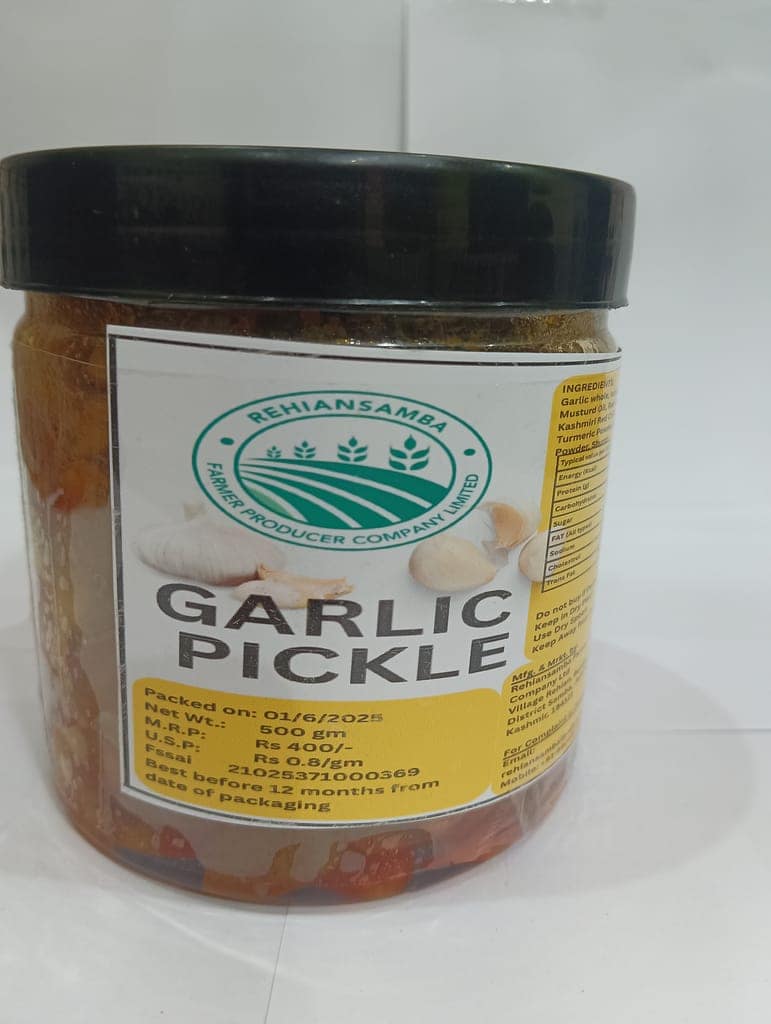 Garlic Pickle view 2