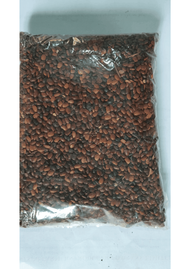Horsegram Whole (Kulthi) view 2
