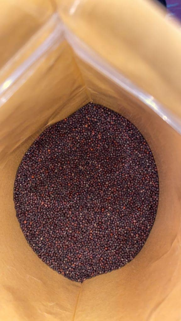 Mandua/ Ragi Seeds (1 Kg) / Finger Millet view 2