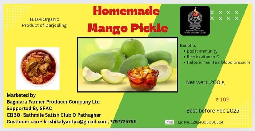 Homemade Mango Pickle view 2