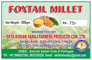 FOXTAIL MILLET (PACK OF 2)