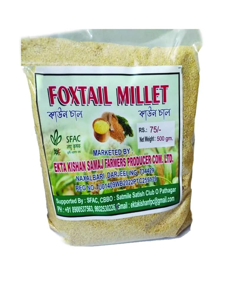 FOXTAIL MILLET (PACK OF 2) view 2
