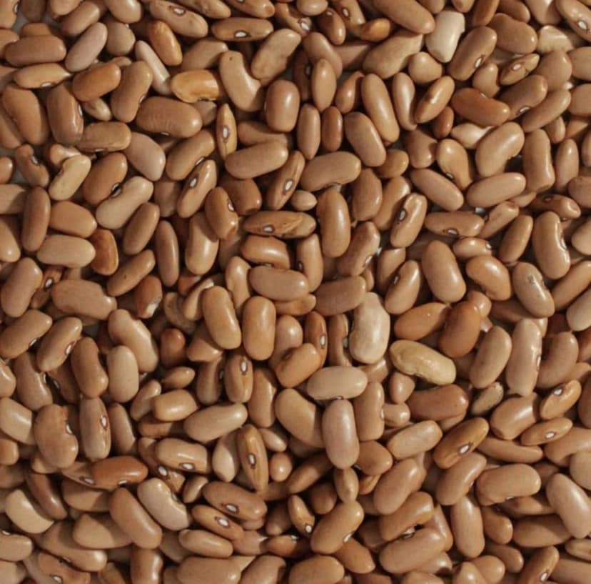 RAJMA DAL view 2