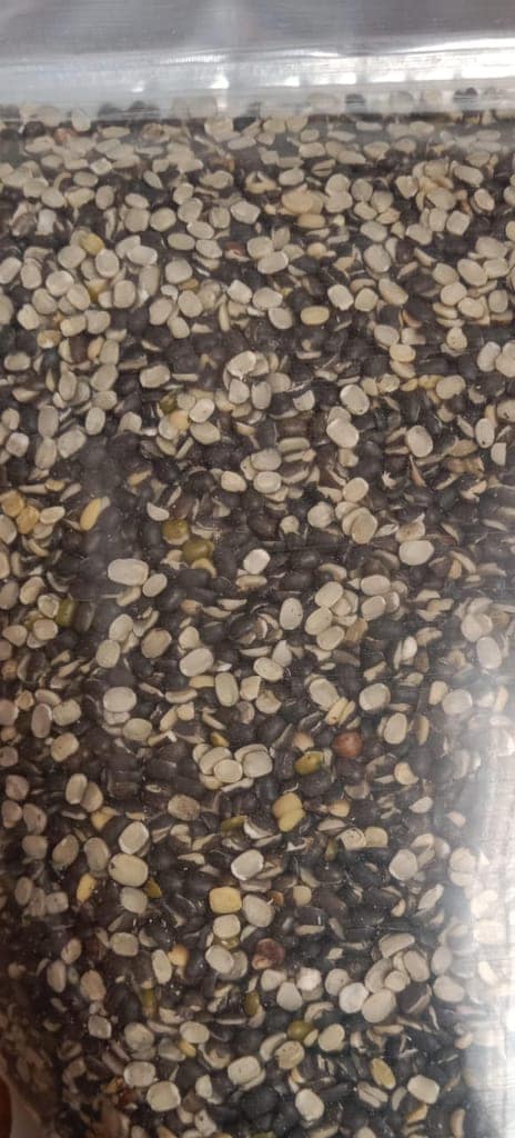 URAD DAL view 2
