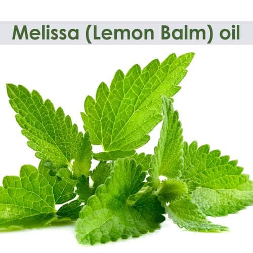 Salvia Melissa (Lemon Balm) oil(Melissa officinalis) 100% Pure & Natural With Dropper 50ml Salvia Melissa (Lemon Balm) oil(Melissa officinalis) 100% Pure & Natural With Dropper 50ml - 50 ml (Pack of 1) view 2