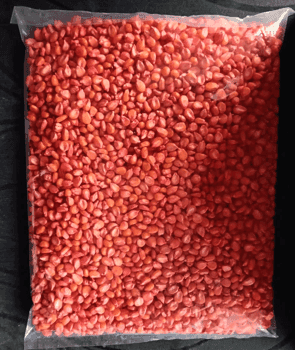 Corn seed- 1 Kg view 2