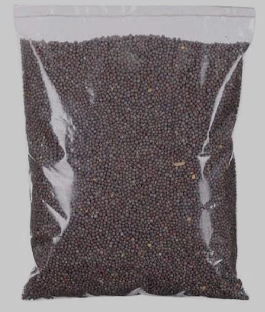 Black Mustared Seeds view 2