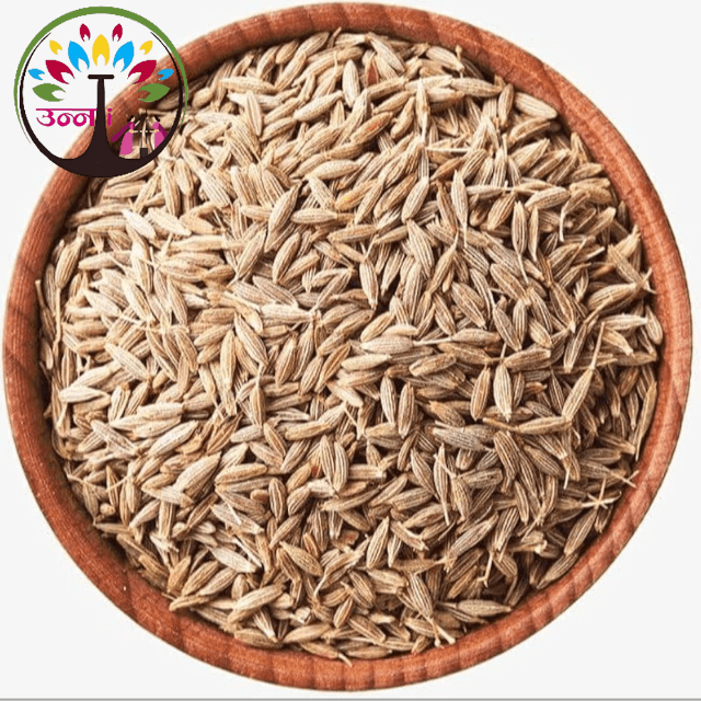 Prerna Unnati Cumin Seeds or Jeera 250g