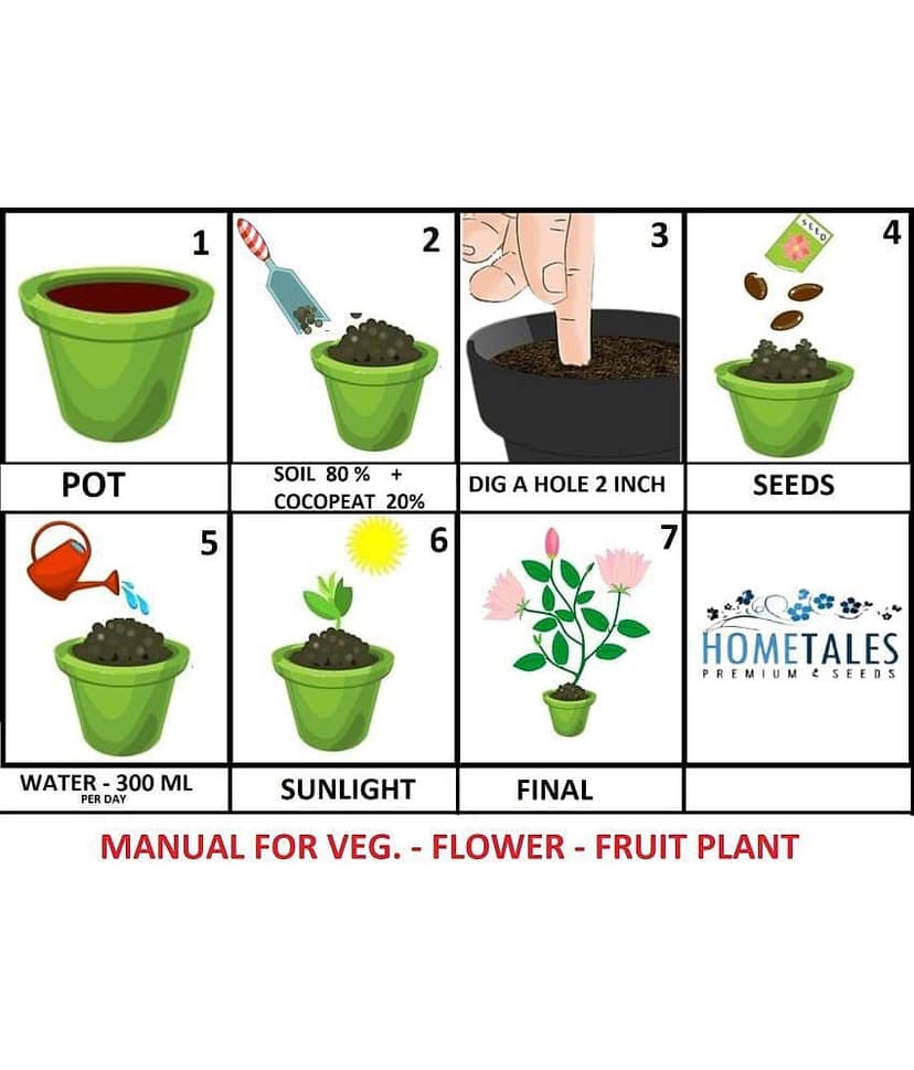 homeagro -Lady Finger & Tomato Vegetable Seeds ( Pack of 2 - 50 Seeds each ) view 2