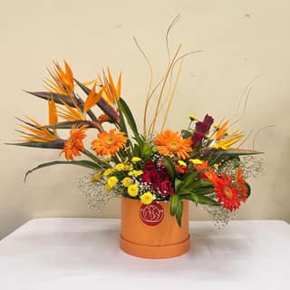 The Blooming Story Orangey BOP With Dry Sticks Floral Box Arrangement