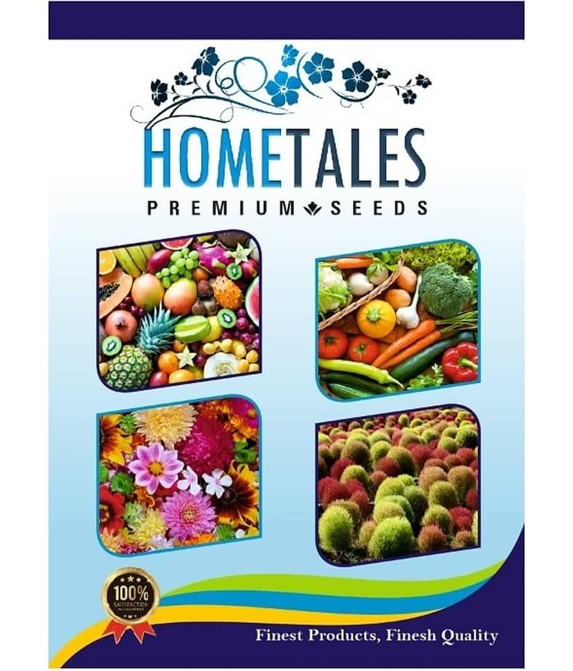 homeagro - Brinjal Vegetable ( 100 Seeds ) view 2