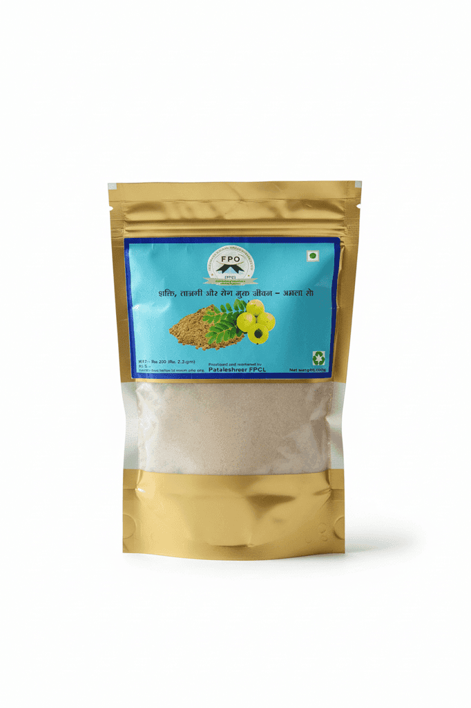 Pataleshwar FPCL Amla Powder - Strength, Freshness & Disease-Free Life