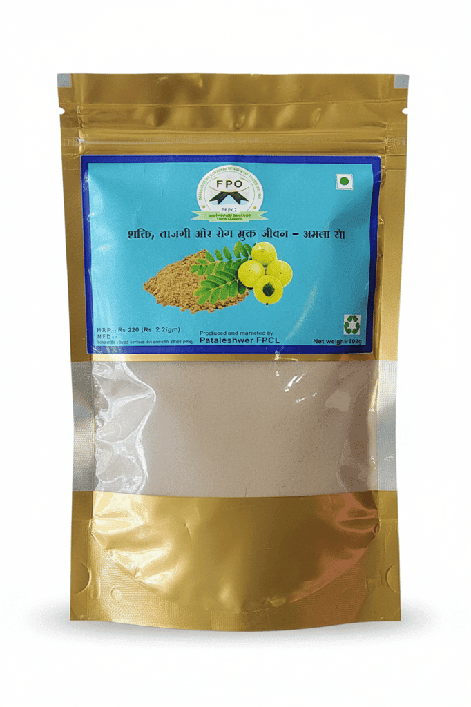 Pataleshwar FPCL Amla Powder - Strength, Freshness & Disease-Free Life view 2