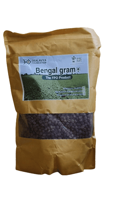 BENGALGRAM (CHANDAL) view 2