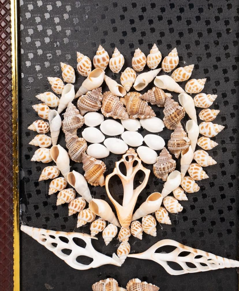 HOME DECOR WOODEN SEA SHELL FRAME view 2