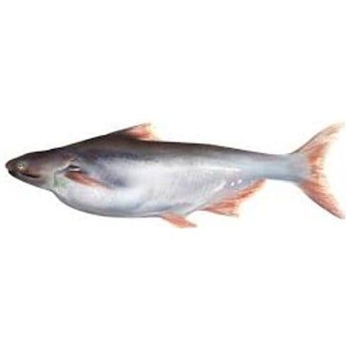 Silan Fish 1 Kg