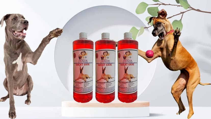 Swacch Shampoo Specially Formulated for Great DANE (1 Litre) (Combo Pack of 3) Strawberry view 2
