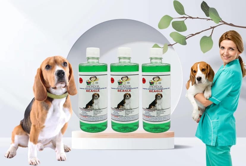 Swacch Shampoo Specially Formulated for Beagle (500ml) (Combo Pack of 3) Neem Alovera view 2