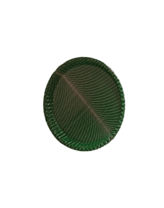 100% Natural Areca Leaf Plates | Disposable and Biodegradable | 12 Inches | Pack of 50 view 2