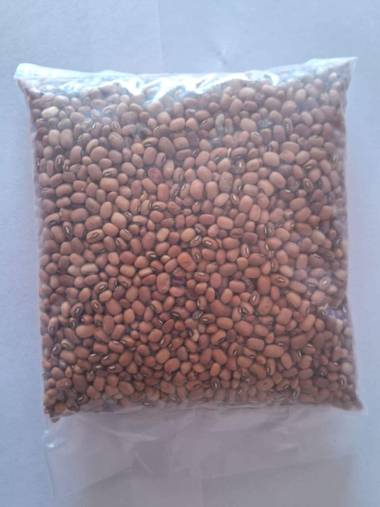 Red Lobia (Kohal) view 2