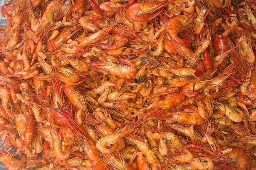 Khajing Akangba (Dried Shrimp) view 2