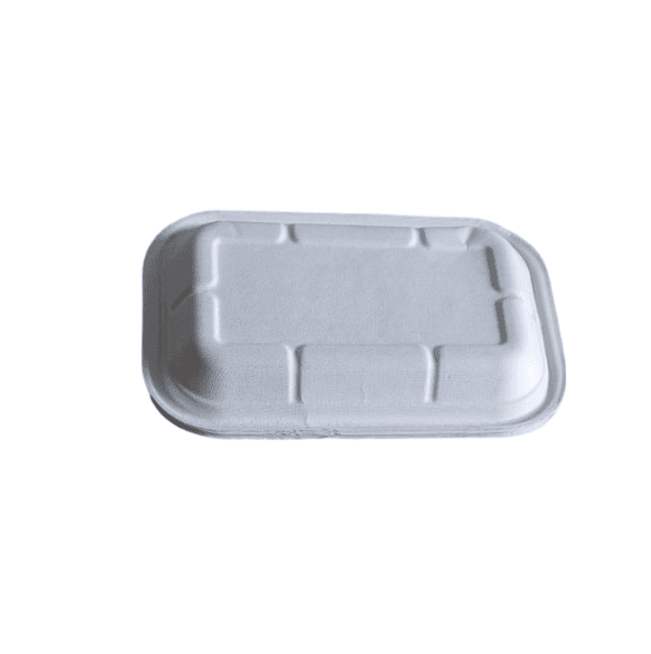 Compostable sugarcane food container 100% biodegradable pack of 20 view 2