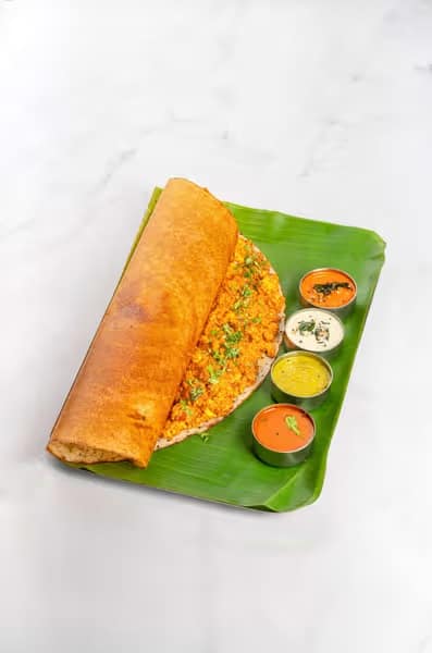PANEER DOSAI