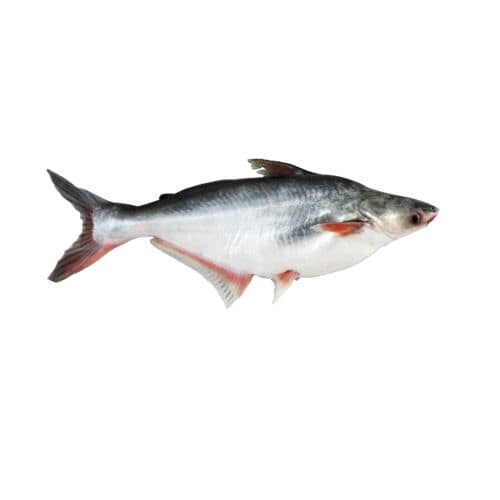 Silan Fish 1 Kg