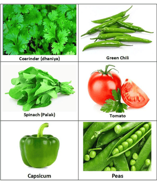 Zonato - Easy Planting - Combo pack of 6 Green Hybrid All Season growing Vegetables {Coriander(Dhaniya), Green Chilli, Spinach (Palak),Tomato, Capsicum & Peas} 1 pack Of more than 200 Seeds