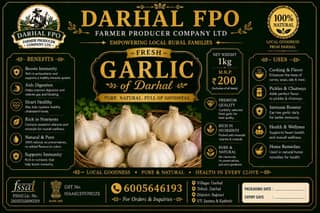Darhal FPO Fresh Garlic - 1kg Pack