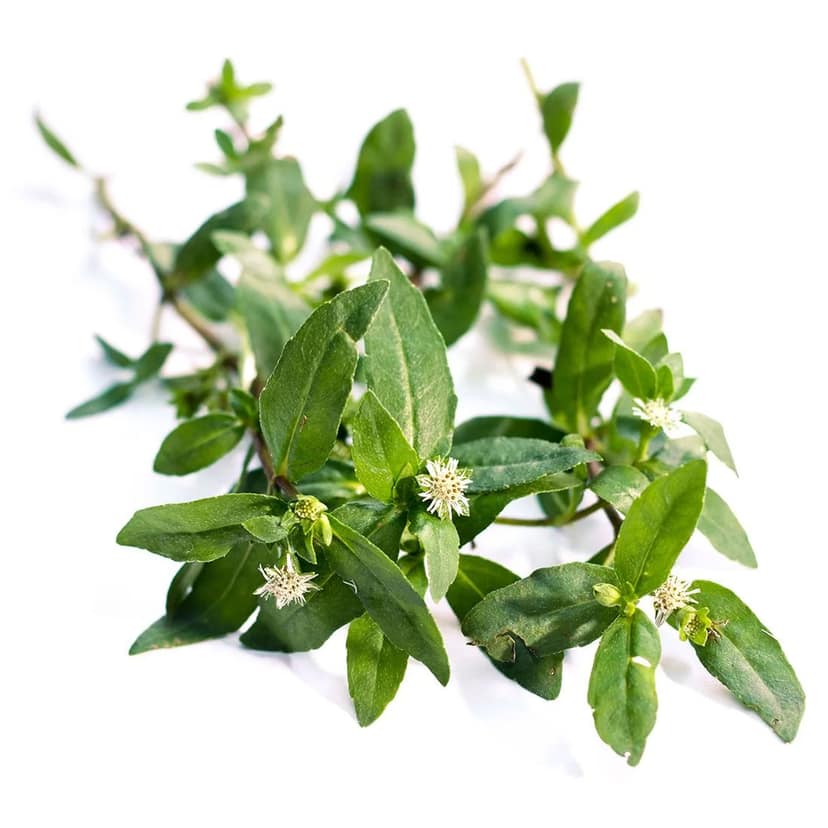 Manja Karisalankanni, 250 gm