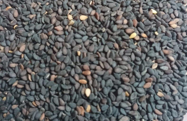 Premium Sesame Seeds (Til) view 2