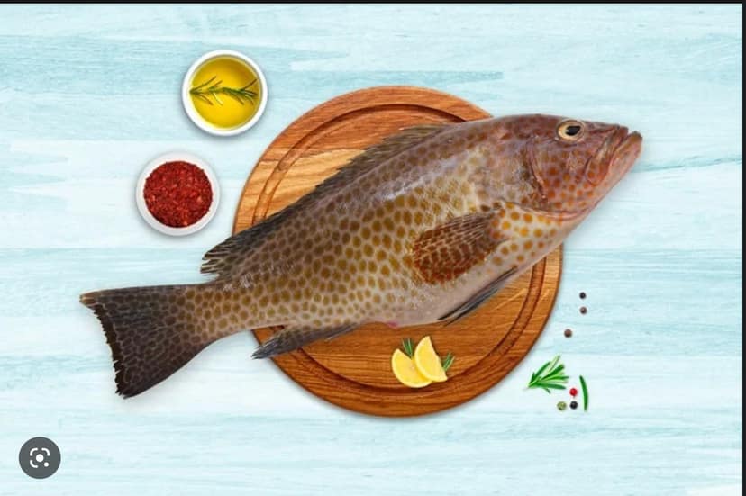 Grouper/Reef Cod/Kalava (0.75kg-2kg) - 0.75kg(Before Cleaning)-Curry Cut